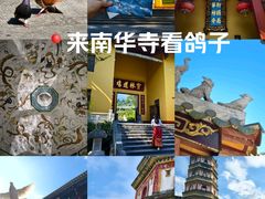 -南华禅寺