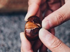 糖炒栗子-秋栗香(地安门店)