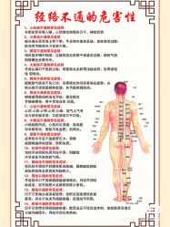 -香薇妮丝女子减肥院
