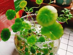 -苏州湾王焰温泉度假酒店