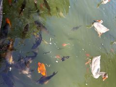 -天毓山庄·餐厅