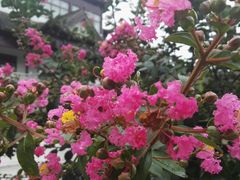 -威海华夏城景区