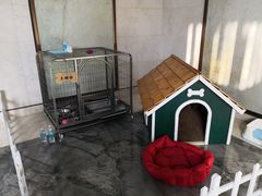 -上海崇明金茂凯悦酒店