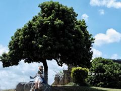 -红花山公园
