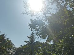 -南沙蒲洲花园