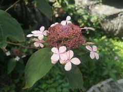 -山王坪喀斯特国家生态公园