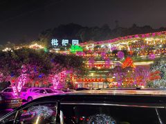 -枇杷园食为鲜火锅(南山店)