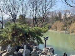 -浮庄