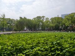 -四川大学(望江校区)