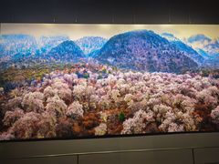 -罗红摄影艺术馆