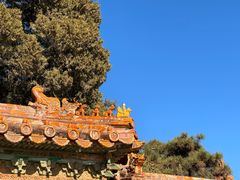 -故宫博物院(故宫)