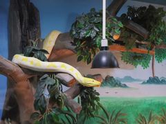 -石家庄市动物园