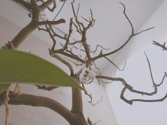 景观位-生机蔬食·24节气料理餐厅(番禺广场店)