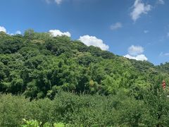 -广州市白云山风景名胜区