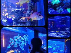 -上和臻品中国菜(花园街店)