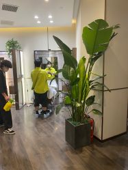 -崇尚GAVIN STYLE臻选