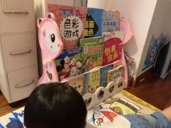 -玩具反斗城(正大广场店)