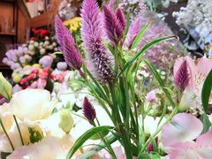 -爱尚幸福鲜花(上地实体店)