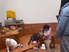 -有猫主题·治愈系猫咖(曾厝垵店)