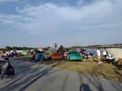 -春花秋色城市公园