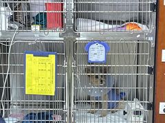 -美联众合动物医院·24h转诊中心