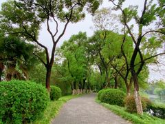 -沙市市中山公园