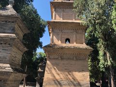 -兴教寺