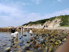 -养马岛旅游度假区