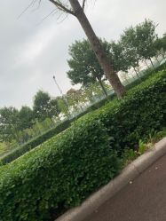 -HEYAN长风荷妍专业脱毛美肤
