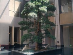 -外滩·云南人家(昆明旗舰店)