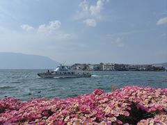 -大理洱海