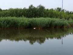 -西青郊野公园