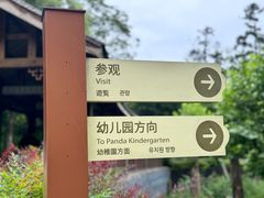 -碧峰峡风景区
