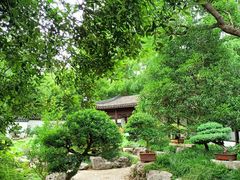 -上海醉白池公园