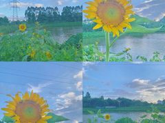 -大门水乡·顺德菜