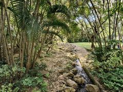 -燕晗山郊野公园