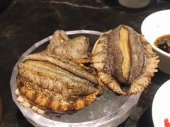 野生鲍鱼-半岛翡丽海鲜自助餐厅(观风亭店)