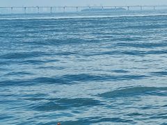 -鑫艋游艇海钓俱乐部