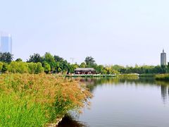 -西海子公园
