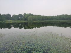 -北坞公园