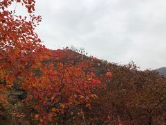 -周口店坡峰岭风景区