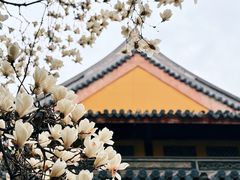 -龙华寺