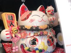 -LIMITED EXPRESS 限定快线