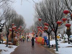 -青藏高原野生动物园