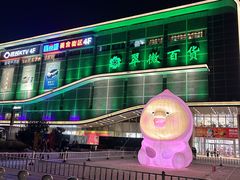 -翠微百货(龙德店)