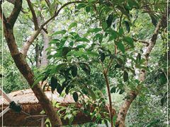 -一江春水·杭帮臻宴(三台山店)