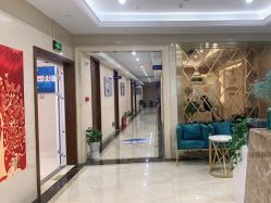 -碧莲盛·不剃发植发