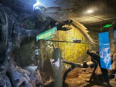 -多彩贵州城极地海洋世界