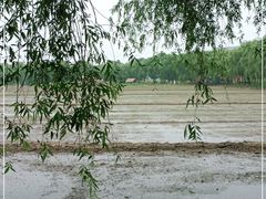 -长兴太湖图影湿地文化园