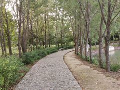 -淇河国家湿地公园